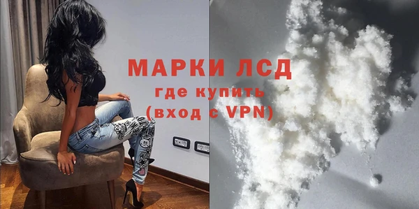 таблы Новозыбков