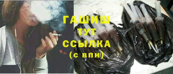 индика Бабаево