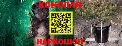 мет Дубна