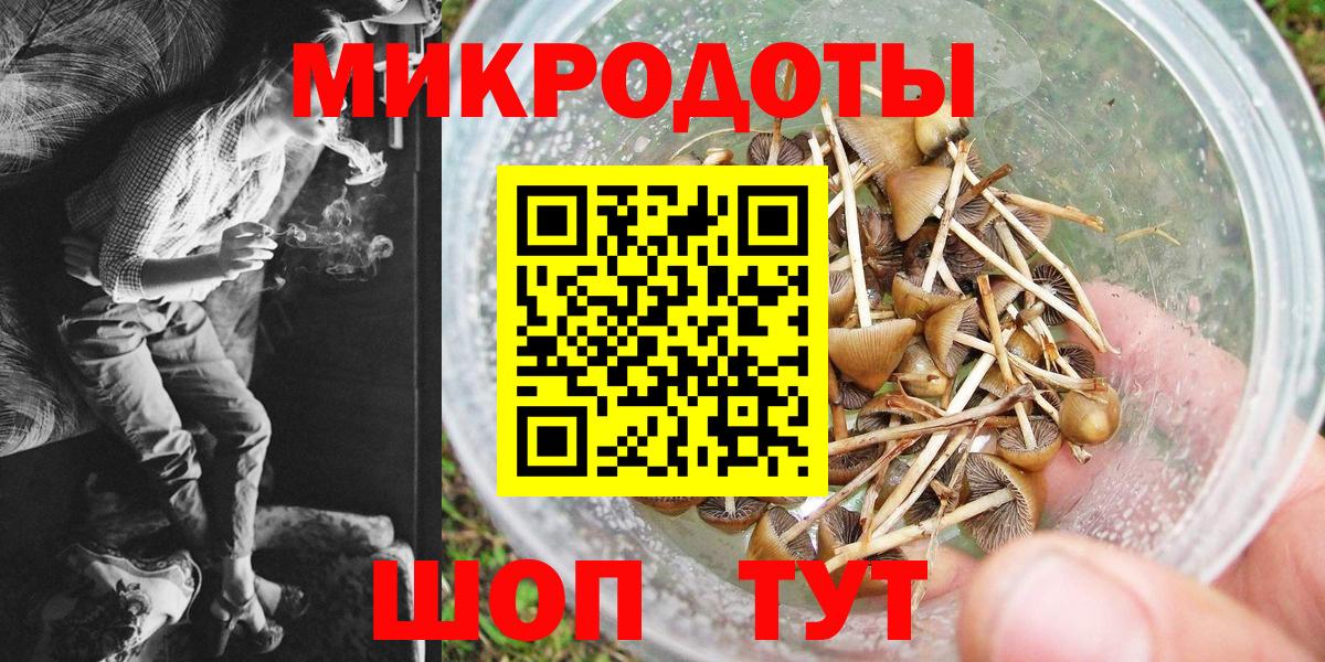 Псилоцибиновые грибы MAGIC MUSHROOMS Ижевск