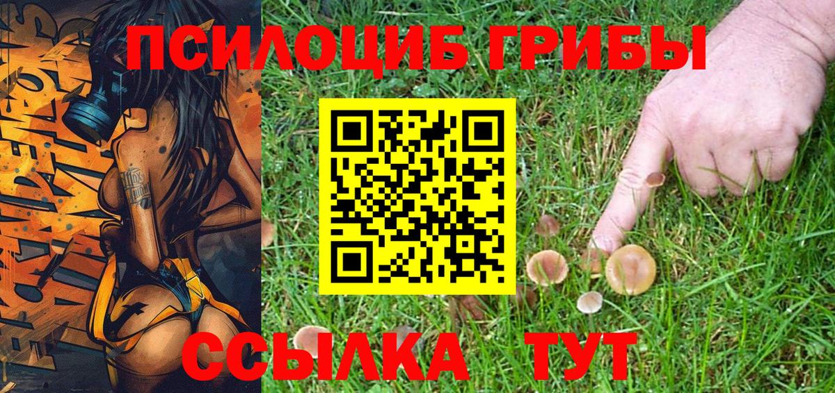 Галлюциногенные грибы мицелий  Ижевск 