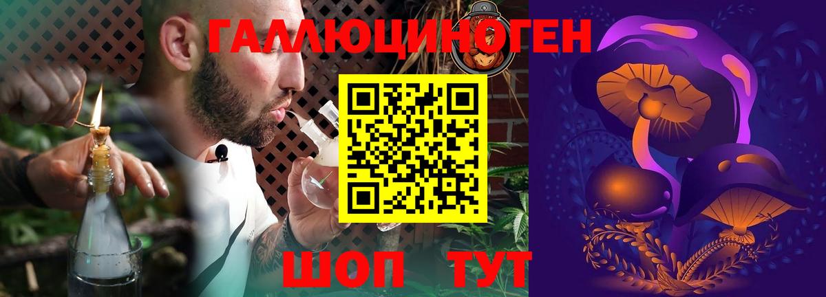 Ижевск  Галлюциногенные грибы прущие грибы  Вход с VPN 
