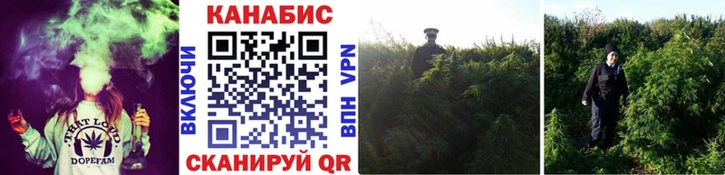 Конопля VHQ  Ижевск 
